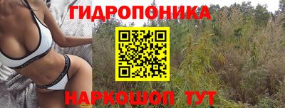 индика Заволжье