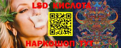 индика Заволжье
