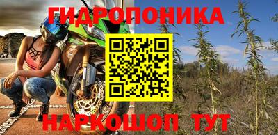 индика Заволжье
