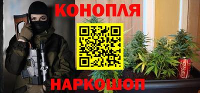 индика Заволжье