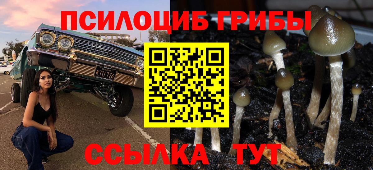 Alpha PVP СК   Каннабис  КОКАИН  Курчалой  Меф   ГАШ  Вход с VPN  Лсд 25 